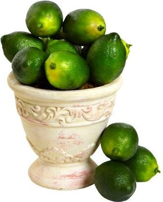 Nearly Natural Faux Limes in Green at Nordstrom