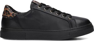 Hassia Zwarte Dames Sneakers Asti - Dames - Sneakers - Zwart - 39 EU - Schoenen