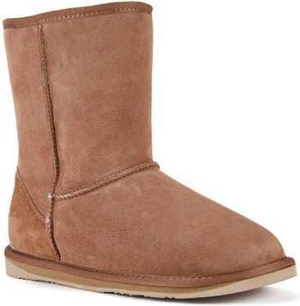 Australia Luxe Suede Genuine Shearling Lined Cosy Short Boot in Chestnut at Nordstrom Rack, Size 10