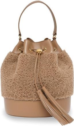 Gianvito Rossi Sienna 22 Crossbody bag in Brown Leather at Nordstrom