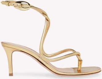 Gianvito Rossi Jungle Mamba 70 Thong in Gold 95%nappa+5%tpu at Nordstrom, Size 34.5