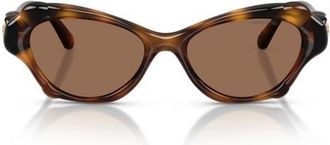 Swarovski 52mm Cat Eye Sunglasses in Havana /Dark Brown at Nordstrom