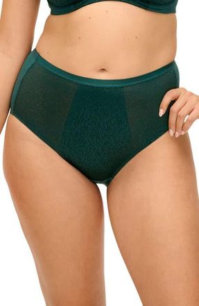 Fantasie Demure Full Briefs in Forest Green at Nordstrom, Size Xx-Large