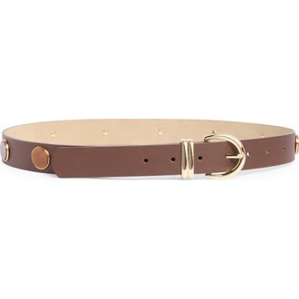 Steve Madden Dome Stud Faux Leather Belt in Chocolate at Nordstrom Rack, Size X-Large