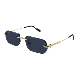 Cartier Ct0577 S Sonnenbrille
