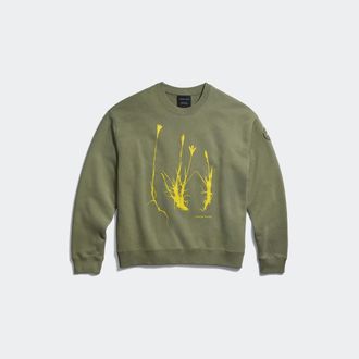 Canada Goose Wander Flower Sweatshirt (Women, Vireo Green, S)