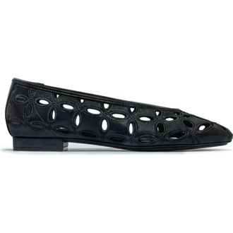 Bernardo Brie Ballet Flat in Black at Nordstrom, Size 7.5