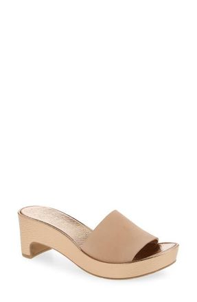 Pedro Garcia Diedra Leather Wedge Slide Sandal in Plume Castoro-Rose Gold Cervo at Nordstrom, Size 10.5Us