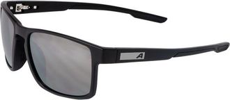 Alpina Stream S3 Sonnenbrille - Unisex | grau
