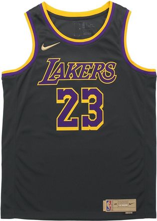 Nike NBA LeBron James Los Angeles Lakers 2020/21 Fan Edition Jersey 23 CN9929-013