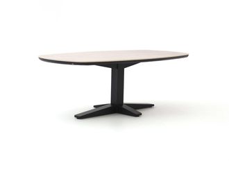 Apple Bee Zanzibar Deens Ovaal dining tuintafel 220x110x77cm