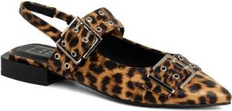 Shushop Angela Slingback Pointed Toe Pump in Leopard Print at Nordstrom, Size 7.5