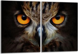 OEM Placa Protectora De Vidrio Para Estufa 2x40x52 B&uacute;ho