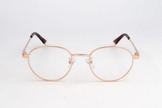 Polaroid Unisex Gold Tone Phantos Eyeglass Frames PLD-D522/G-1