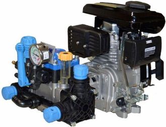 Bertolini Motobomba De 2 Membranas Con Axo 4 Para Riego 91561