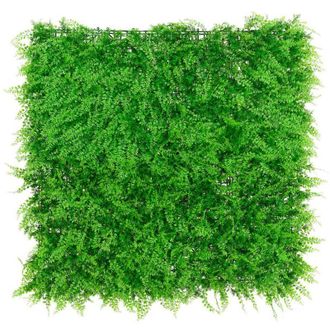OEM Plancha Jardin Helecho 100x100cm