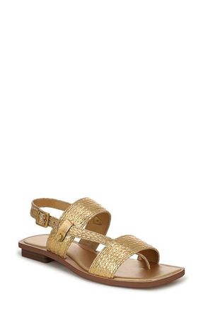 Franco Sarto Enrica 2 Sandal in Ocra Gold at Nordstrom, Size 6.5