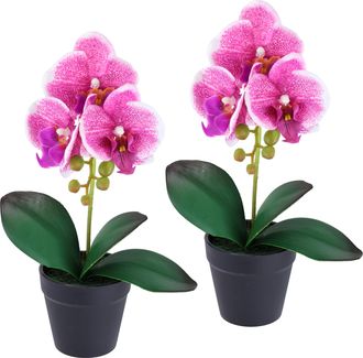 I.GE.A. Kunstorchidee