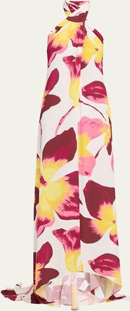 Diane Von F&uuml;rstenberg Tamsin Backless Floral-Print Halter Maxi Dress