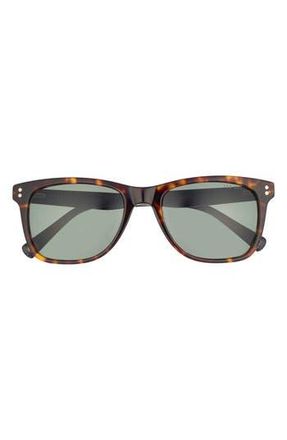 Ted Baker 53mm Polarized Acetate Frame Square Sunglasses in Tortoise at Nordstrom Rack