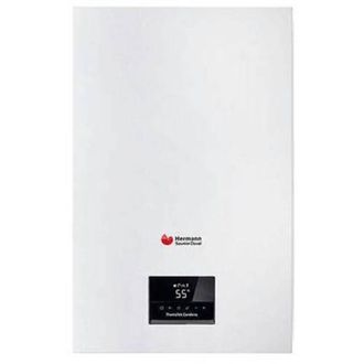OEM Caldera De Condensaci&oacute;n Thematek 24 Kw - Gas Natural