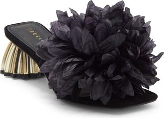 Cecelia New York Dahlia Slide Sandal in Black at Nordstrom, Size 7.5