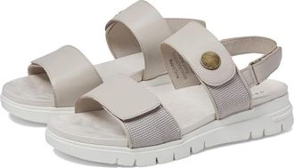 David Tate Downey Sandals Womens US 6.5 Gray Leather Open Toe Slingback ZPO634 (Gray,6.5)