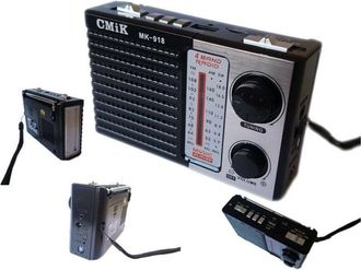 Trade Shop Trade Shop - Mini Radio Portatile Radiolina Ricaricabile Fm Lettore Mp3 Usb Microsd Cmik Mk918