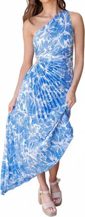 Dress Forum Shelly Maxi Dress In Blue White