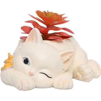 OEM Macetas Con Forma De Gato, Macetas Con Forma De Animales De Dibujos Animados, Plantas Suculentas