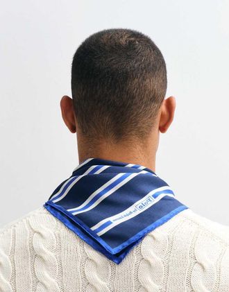 Polo Ralph Lauren Cravatta blu navy a righe
