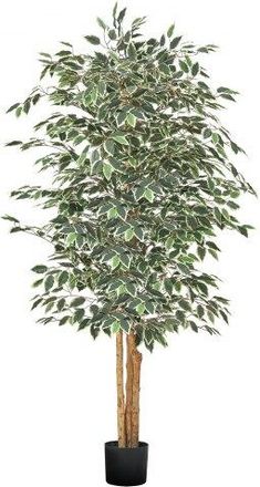 OEM &Aacute;rbol Artificial De Ficus Alto De 1829 Mm Planta Artificial De Pe Para Decoraci&oacute;n &Aacute;rbol Verde Planta Falsa Para Hogar, Oficina, Hotel, Centro Comercia