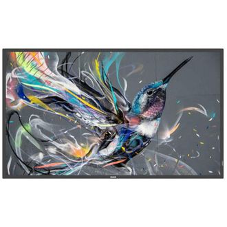 Philips Monitor Philips 50 Q-line / Panel Va D-led 16:9 / 3840x2160 400cd/m2 / 8ms / Pixel Pitch 0.285x0.285 / Vesa 400x400/m6 / Soc Ms - 92q / Uso Landscape