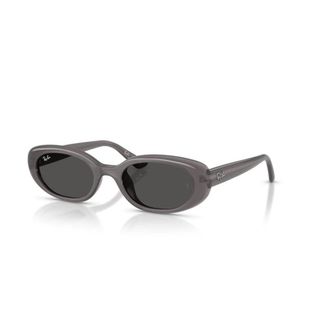 Ray-Ban Ovale Zonnebril - unisex - Zonnebrillen - Grijs - 53 MM - Accessoires