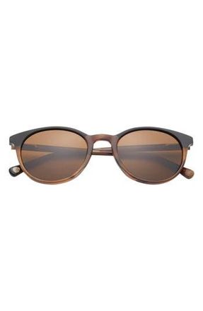 Ted Baker 51mm Polarized Round Sunglasses in Horn at Nordstrom Rack