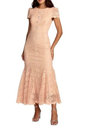 Mac Duggal Embroidered Lace Cap Sleeve Midi Dress in Peach at Nordstrom, Size 12