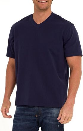 Threads 4 Thought Roger Relaxed Fit V-Neck Cotton Jersey T-Shirt in Stargazer at Nordstrom, Size Xx-Large