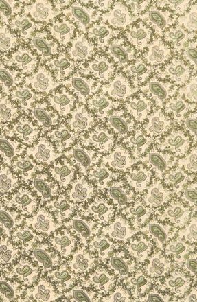 La Fiorentina Paisley Print Square Scarf in Green at Nordstrom Rack
