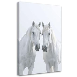 Feeby Impresi&oacute;n De Imagen, Dos Caballos Blancos Animales Naturaleza, 70x100