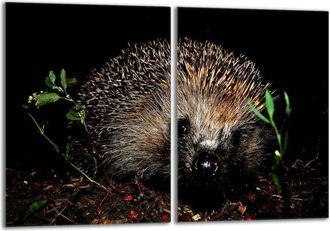 OEM Placa Protectora De Vidrio Para Estufa 2x40x52 Erizo