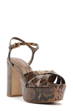 Schutz Keefa Kitten Heel Sandal in Pecan Brown at Nordstrom, Size 7.5