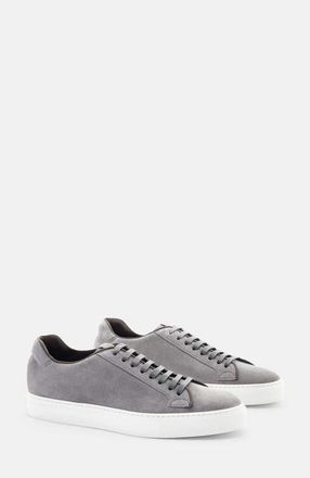 Scarosso Ugo Sneakers in Grey - Suede at Nordstrom, Size 40.5