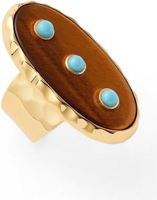 Nest Tigers Eye & Turquoise Stud Adjustable Ring in Brown at Nordstrom