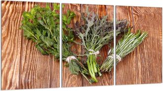 OEM Placa Protectora De Vidrio Para Estufa 3x30x52