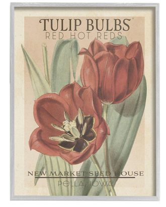 Stupell Industries Hot Red Tulip Bulbs Antique Floral Seed Packet By Studio W Wall Art