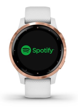 Garmin Vivoactive 4S smartwatch 010-02172-22