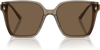 Jimmy Choo London 61mm Oversize Square Sunglasses in Transparent Brown /Dark Brown at Nordstrom