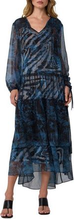 Diane Von F&uuml;rstenberg Zena Long Sleeve Maxi Dress in Paysage Carfu Zebra Mist at Nordstrom, Size X-Small