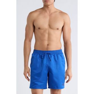 Nike 7-Inch Volley Swim Shorts in Game Royal at Nordstrom Rack, Size X-Large