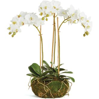 Napa Home & Garden Phalaenopsis Orchid Faux (Fake) Mini Garden Drop-In 16 in White at Nordstrom